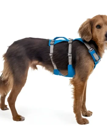 Arnés de Elevación Multiuso Canino | Estructura Resistente