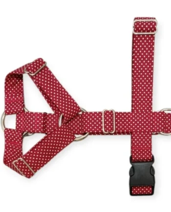 Arnés de Perro Personalizado Dos Puntos Topitos