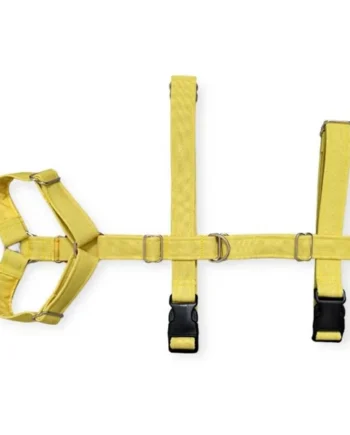 Arnés de Perro Tres Puntos Amarillo