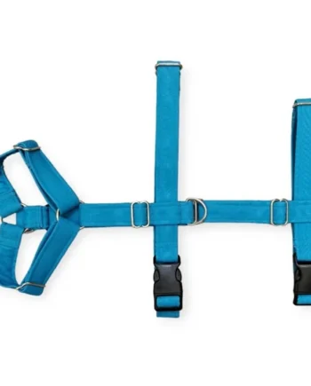 Arnés de Perro Tres Puntos Azul