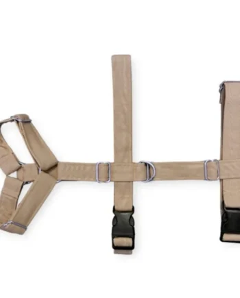 Arnés de Perro Tres Puntos Beige