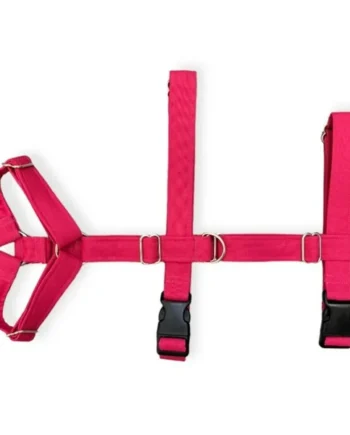 Arnés de Perro Tres Puntos Fucsia
