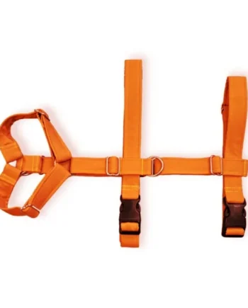 Arnés de Perro Tres Puntos Naranja
