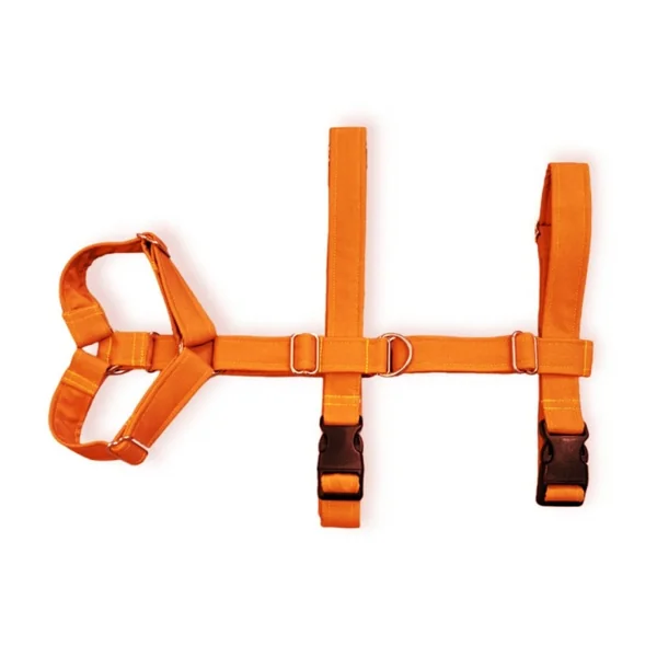 Arnés de Perro Tres Puntos Naranja