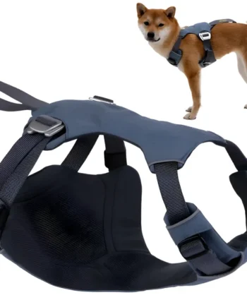 Arnés de Seguridad para Traslado Canino | Mayor Resistencia