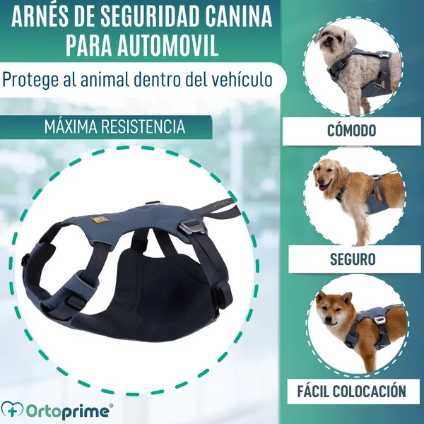 Arnés de Seguridad para Traslado Canino | Mayor Resistencia