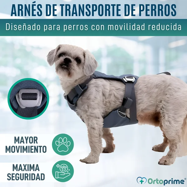 Arnés de Seguridad para Traslado Canino | Mayor Resistencia