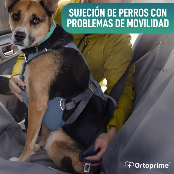 Arnés de Seguridad para Traslado Canino | Mayor Resistencia