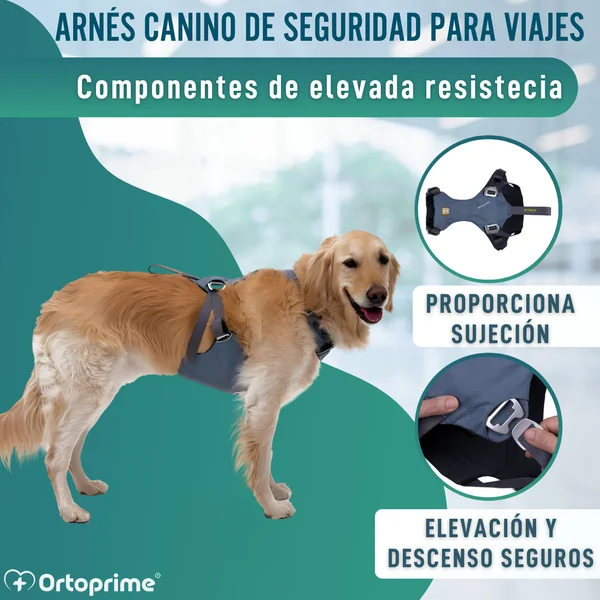 Arnés de Seguridad para Traslado Canino | Mayor Resistencia
