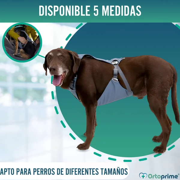 Arnés de Seguridad para Traslado Canino | Mayor Resistencia