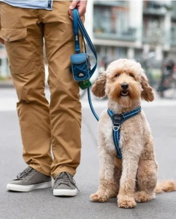 Arnés DOG Copenhagen Comfort Walk Air™nuevo V3