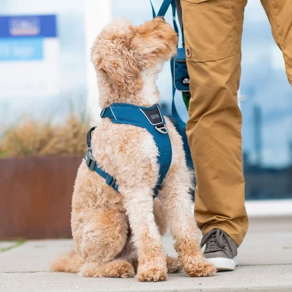 Arnés DOG Copenhagen Comfort Walk Pro™ nuevo V3