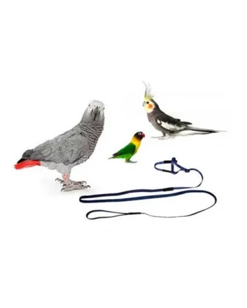 Arnés Elástico para Loros Yagi — Paseo Seguro para Aves