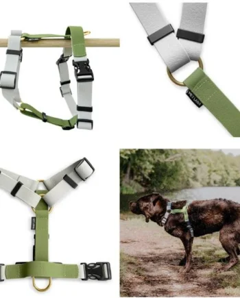 Arnés en H para Perros Hey Lana Biothane Outdoor – Impermeable Gris y Verde