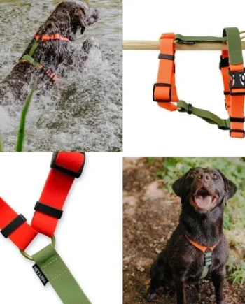 Arnés en H para Perros Hey Lana Biothane Outdoor – Impermeable Naranja y Verde