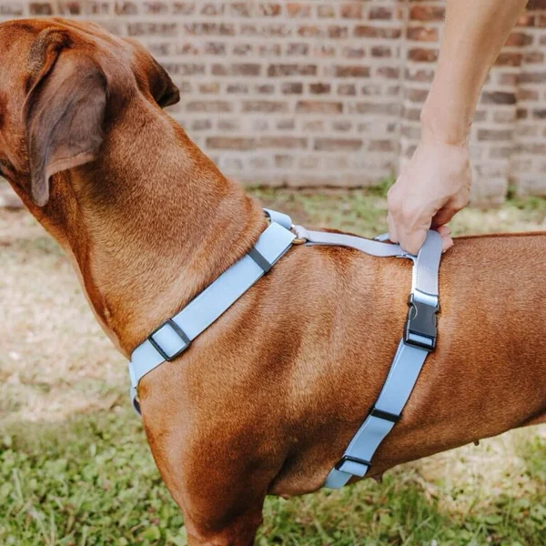 Arnés en H para Perros Hey Lana Biothane Outdoor – Impermeable y Resistente Taupe/Blue