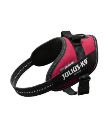 Arnés JULIUS-K9 IDC Magenta para Perros