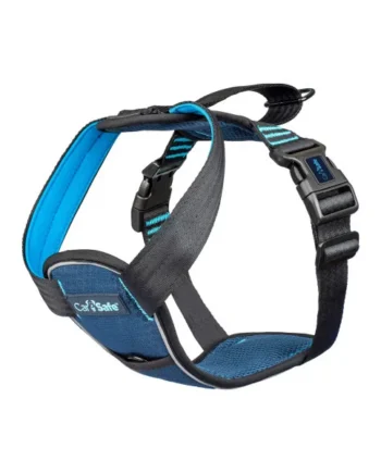 Arnés para Coche Carsafe Crash Tested