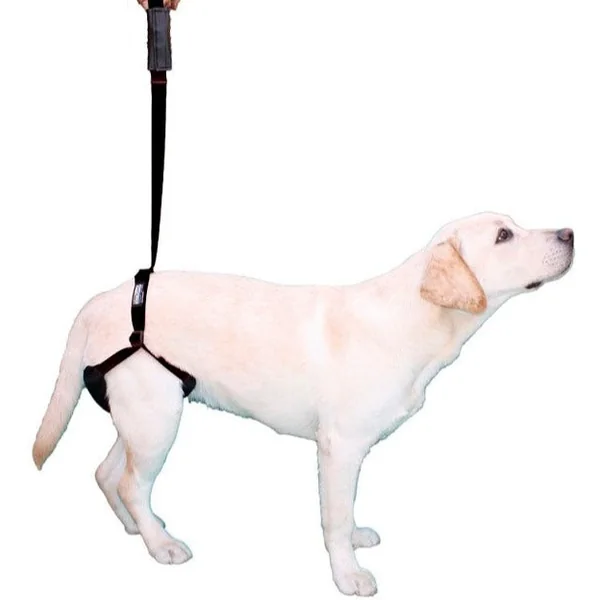 Arnés para Perro con Soporte en Patas Traseras | Talla Única