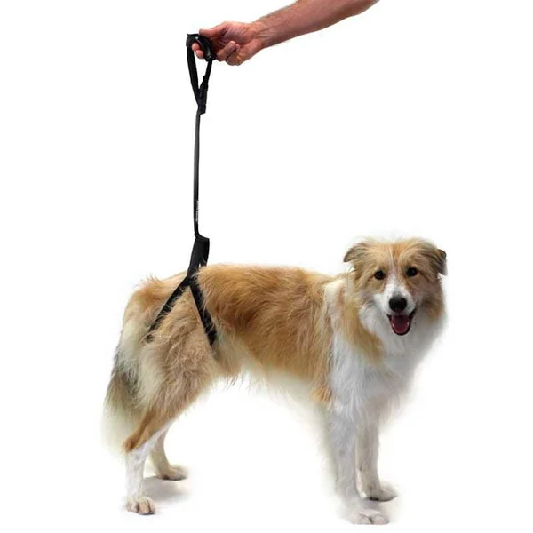 Arnés para Perro con Soporte en Patas Traseras | Talla Única