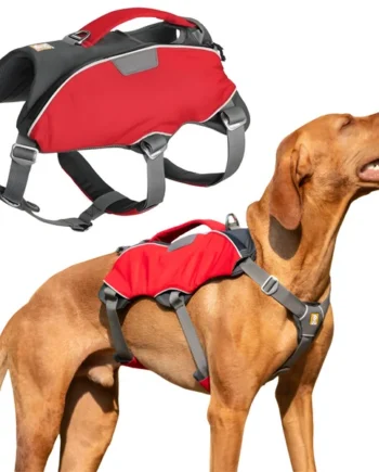 Arnés para Perro de Búsqueda y Rescate | Máxima Resistencia