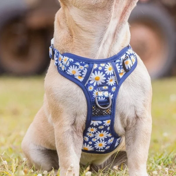 Arnés para perro todoterreno margaritas