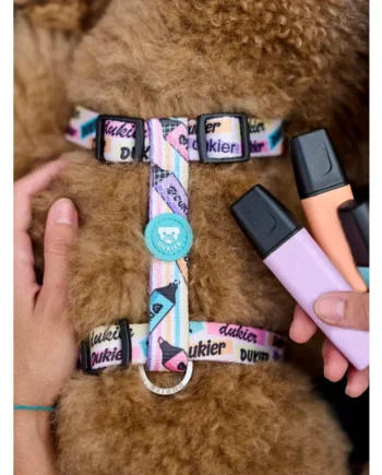 Arnés para Perros Cool School Dukier