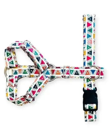 Arnés Personalizado Perro Dos Puntos Triángulos |Collares Perrunos