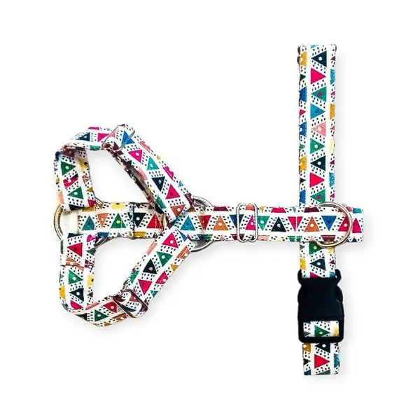 Arnés Personalizado Perro Dos Puntos Triángulos |Collares Perrunos