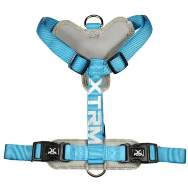 Arnés X-TRM Cronos Neon Flash en H Azul para Perros – Antitirones, Ajustable y Reflectante
