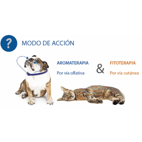 Aromacalm Gatos collar calmante para gatos