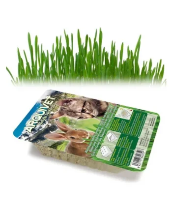 Arquivet Hierba Natural Gatos y Roedores