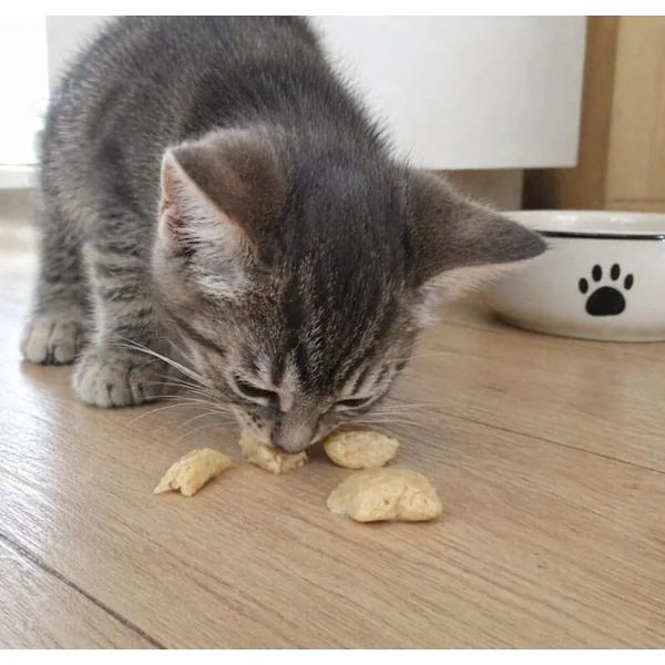 Arquivet Snack Natural de Pollo al Vapor para Gatos