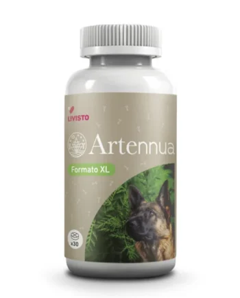 Artennua XL: Suplemento Natural de Artemisia Annua para Perros Grandes
