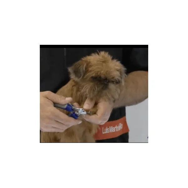 Artero CORTAÚÑAS Pequeño para perros y gatos