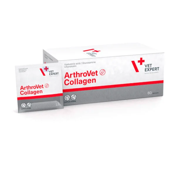 ArthroVet Collagen osteoartritis perros gatos 60 sobres
