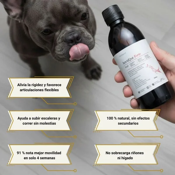 ArtritiQur Forte – Condroprotector para perros con problemas articulares