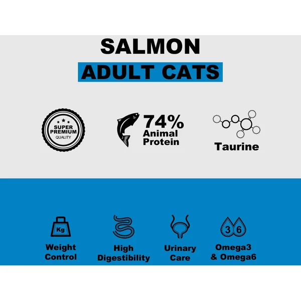 Asequibilidad se encuentra con calidad en Productos Para Gatos's colección de Adult Sterilised De Salmón de 2024 en le Murcia España.