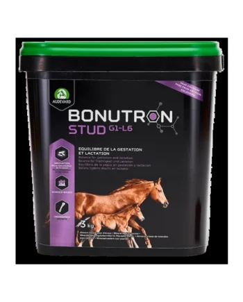 Audevard Bonutron Stud G1-L6 Caballos