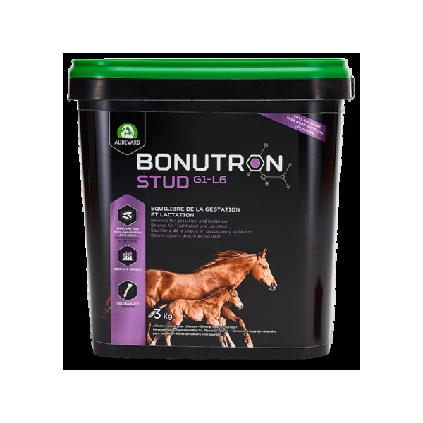 Audevard Bonutron Stud G1-L6 Caballos