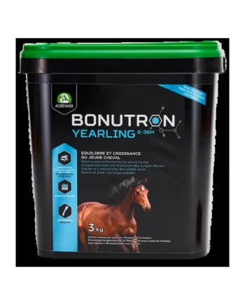 Audevard Bonutron Yearling 6-36M Caballo
