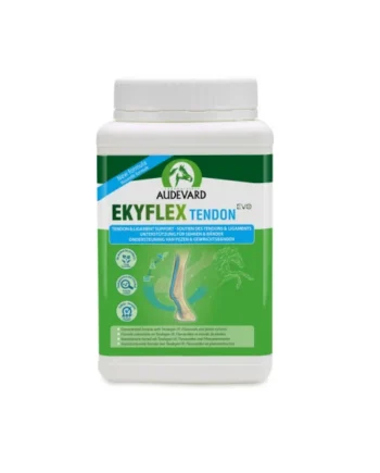 Audevard Ekyflex Tendon EVO Caballos