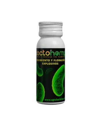 Bactohemp de Agrobacterias - Organismos Beneficiosos
