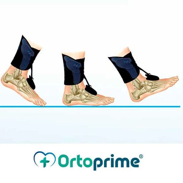 Banda Transpirable Plantar para Antiequinos