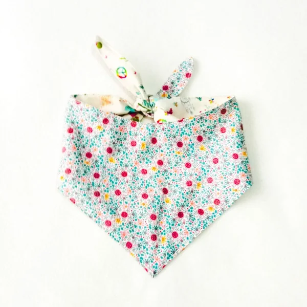 Bandana Reversible modelo "Excursión"