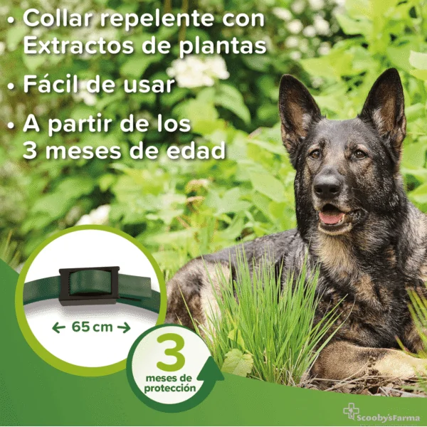 Beaphar Collar Repelente perros 65 cm