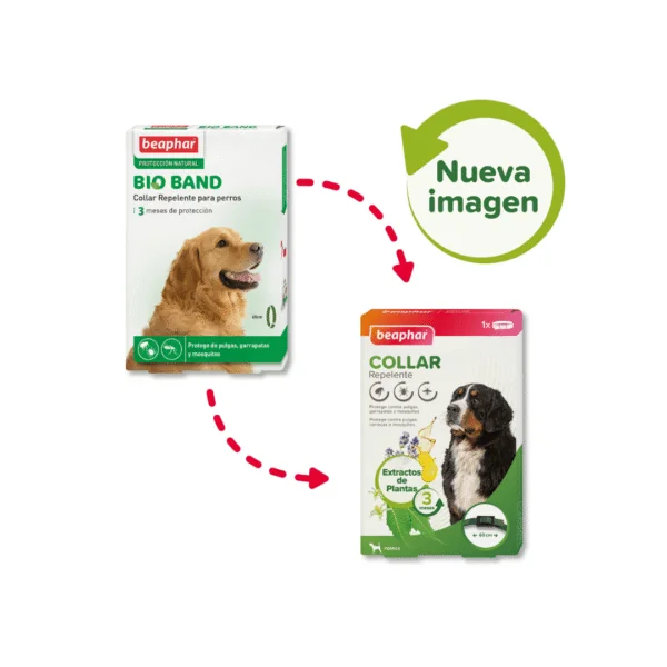 Beaphar Collar Repelente perros 65 cm