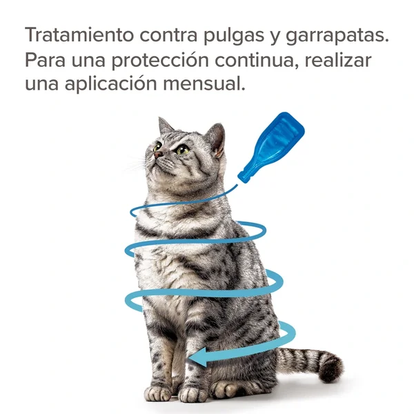Beaphar Fiprotec Pipetas Antiparasitarias para Gatos 4 pipetas