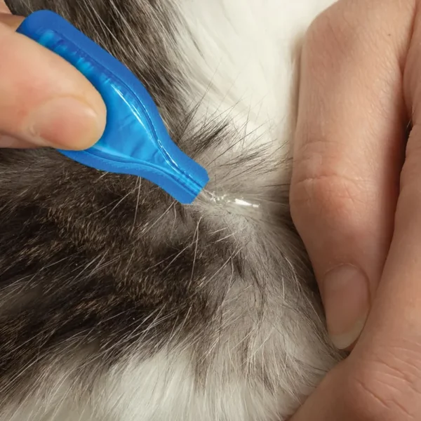Beaphar Fiprotec Pipetas Antiparasitarias para Gatos 4 pipetas