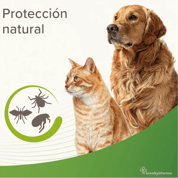 Beaphar loción repelente perros gatos 250 ml
